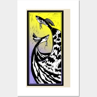 aquarium fish guppies Posters and Art